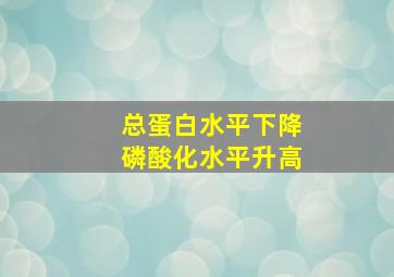 总蛋白水平下降磷酸化水平升高