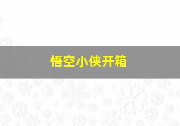 悟空小侠开箱