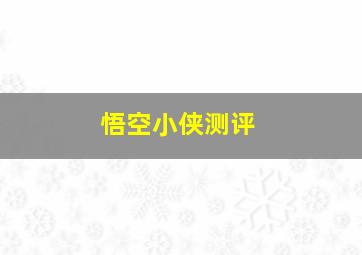 悟空小侠测评