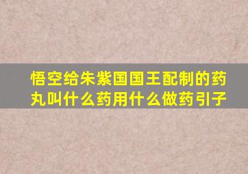 悟空给朱紫国国王配制的药丸叫什么药用什么做药引子