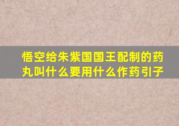 悟空给朱紫国国王配制的药丸叫什么要用什么作药引子