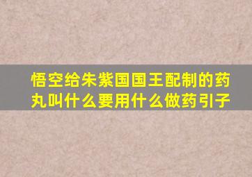 悟空给朱紫国国王配制的药丸叫什么要用什么做药引子