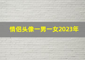 情侣头像一男一女2023年