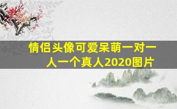 情侣头像可爱呆萌一对一人一个真人2020图片