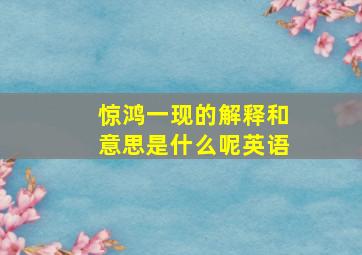 惊鸿一现的解释和意思是什么呢英语