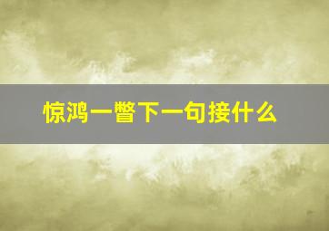 惊鸿一瞥下一句接什么