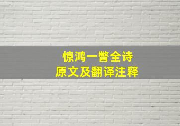 惊鸿一瞥全诗原文及翻译注释