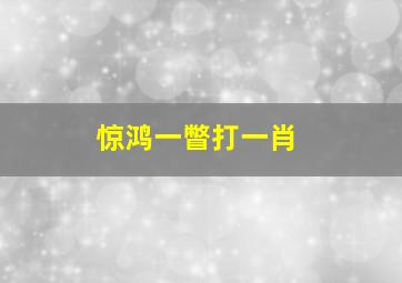 惊鸿一瞥打一肖