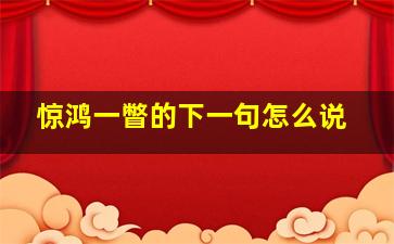 惊鸿一瞥的下一句怎么说