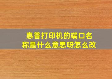 惠普打印机的端口名称是什么意思呀怎么改