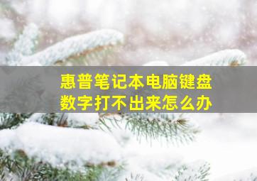 惠普笔记本电脑键盘数字打不出来怎么办