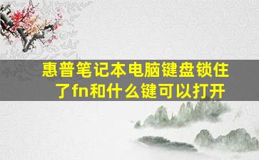 惠普笔记本电脑键盘锁住了fn和什么键可以打开