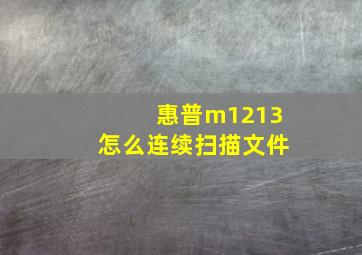 惠普m1213怎么连续扫描文件