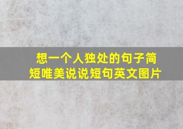 想一个人独处的句子简短唯美说说短句英文图片