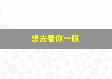 想去看你一眼