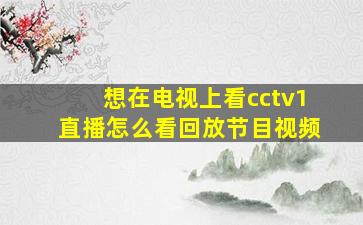 想在电视上看cctv1直播怎么看回放节目视频