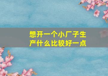 想开一个小厂子生产什么比较好一点