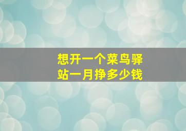 想开一个菜鸟驿站一月挣多少钱