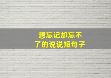 想忘记却忘不了的说说短句子