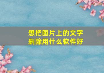 想把图片上的文字删除用什么软件好