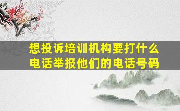 想投诉培训机构要打什么电话举报他们的电话号码