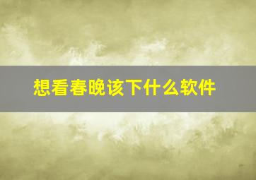 想看春晚该下什么软件