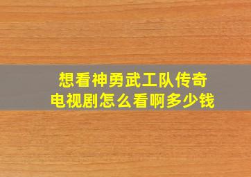 想看神勇武工队传奇电视剧怎么看啊多少钱