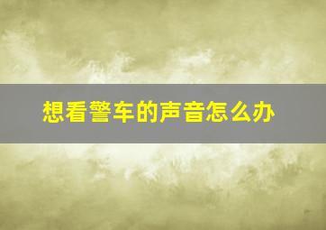 想看警车的声音怎么办