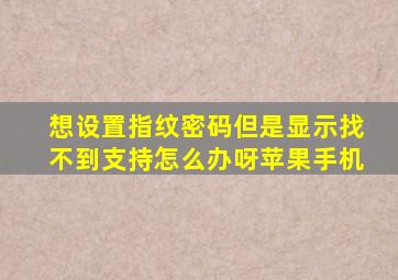 想设置指纹密码但是显示找不到支持怎么办呀苹果手机