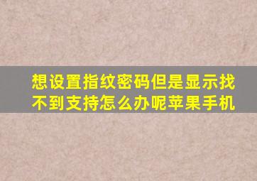 想设置指纹密码但是显示找不到支持怎么办呢苹果手机