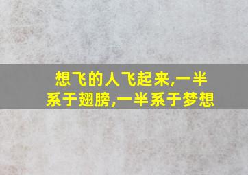 想飞的人飞起来,一半系于翅膀,一半系于梦想