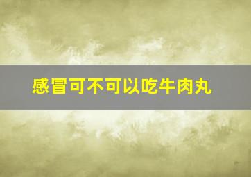 感冒可不可以吃牛肉丸