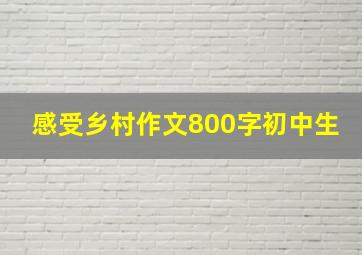 感受乡村作文800字初中生