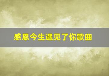 感恩今生遇见了你歌曲