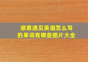 感恩遇见英语怎么写的单词有哪些图片大全