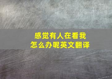 感觉有人在看我怎么办呢英文翻译