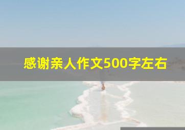 感谢亲人作文500字左右