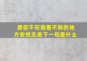 愿你不在我看不到的地方安然无恙下一句是什么