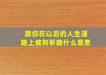 愿你在以后的人生道路上披荆斩棘什么意思