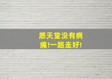 愿天堂没有病痛!一路走好!