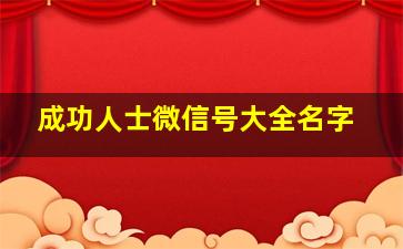 成功人士微信号大全名字