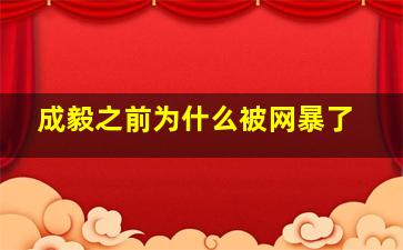 成毅之前为什么被网暴了