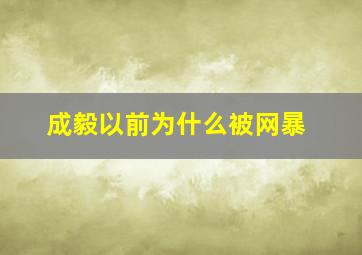 成毅以前为什么被网暴