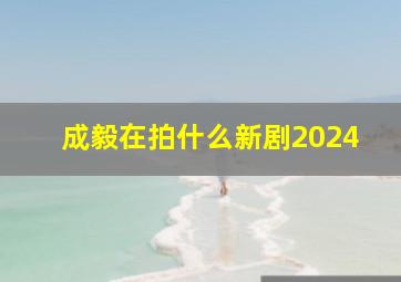 成毅在拍什么新剧2024