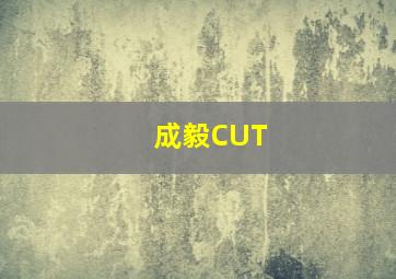 成毅CUT