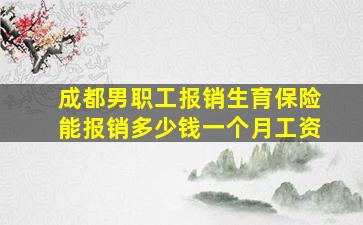 成都男职工报销生育保险能报销多少钱一个月工资