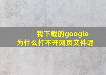 我下载的google为什么打不开网页文件呢