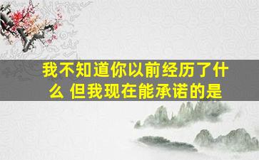 我不知道你以前经历了什么 但我现在能承诺的是