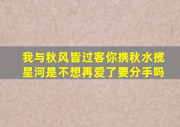 我与秋风皆过客你携秋水揽星河是不想再爱了要分手吗