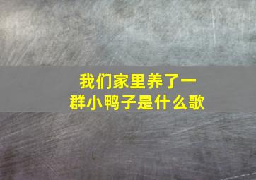 我们家里养了一群小鸭子是什么歌